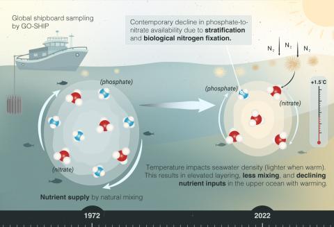 A graphic showing marine nutrient cycles impacted by climate change.