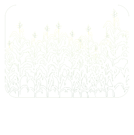 CALUE Database