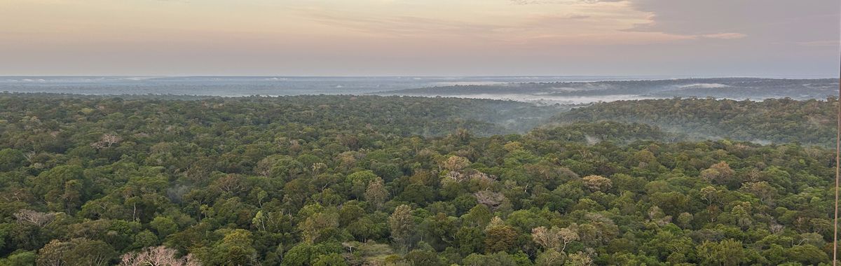 Aerial view of intact central Amazon forest canopy from the Amazon Tall Tower Observatory