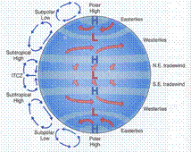 three_cell_model