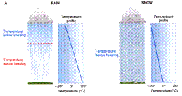 precipitation